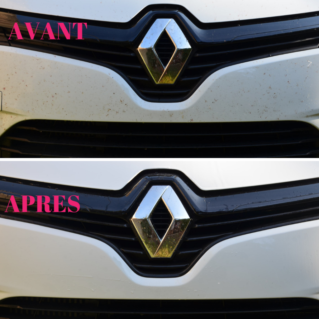 Avant-apres-netoyant-moustiques-gs27